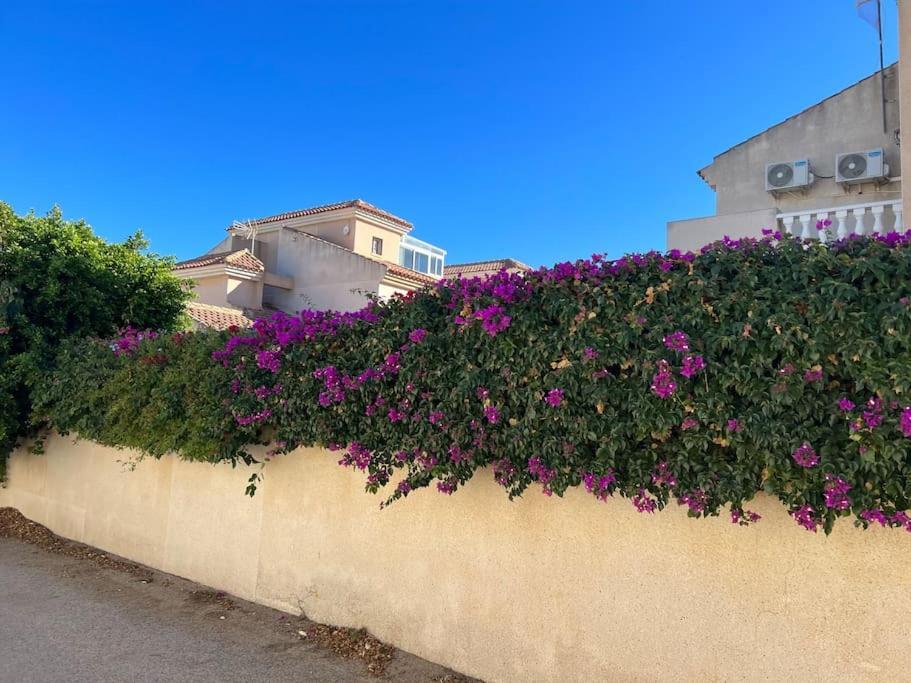 Appartement Club Salino 18 à Torrevieja Extérieur photo